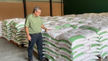 Empresa tem 500 ton. de semente de milho para ano agrícola